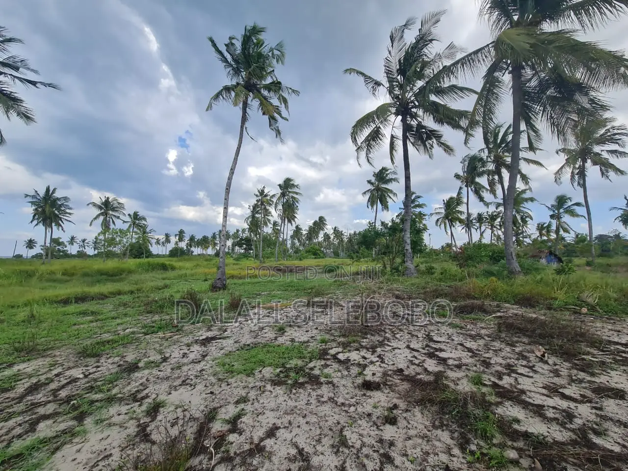 Beach Plot Special for Hotel Investment in Bagamoyo