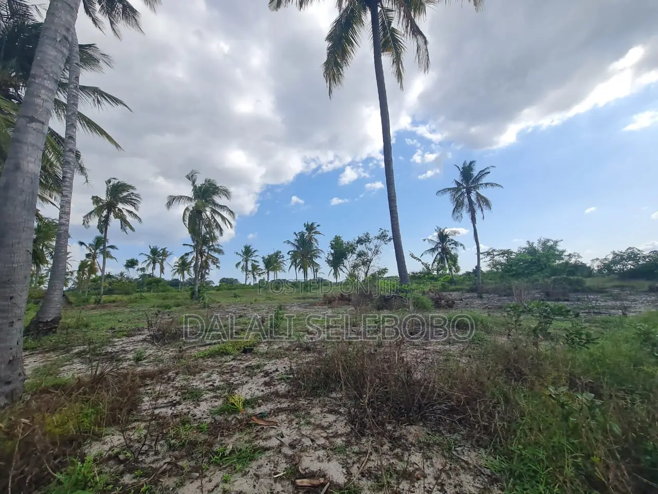 Beach Plot Special for Hotel Investment in Bagamoyo