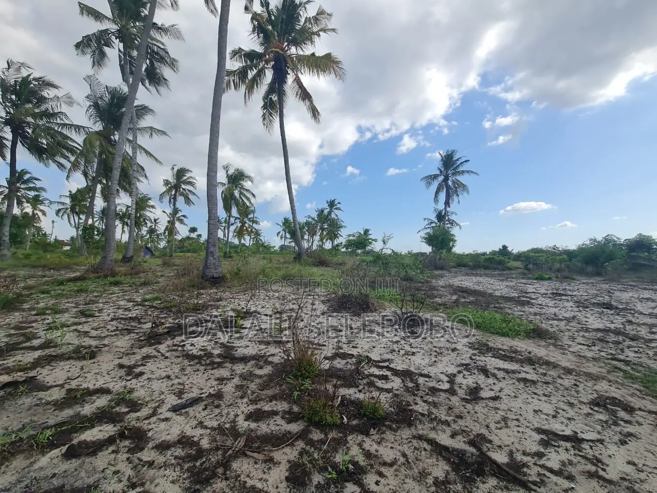 Beach Plot Special for Hotel Investment in Bagamoyo