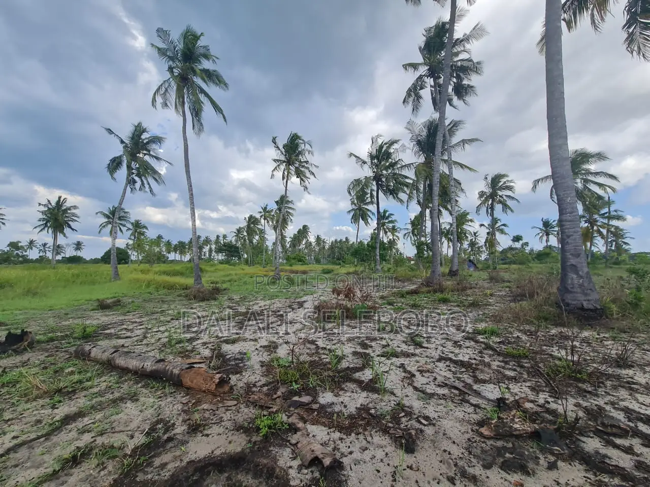 Beach Plot Special for Hotel Investment in Bagamoyo