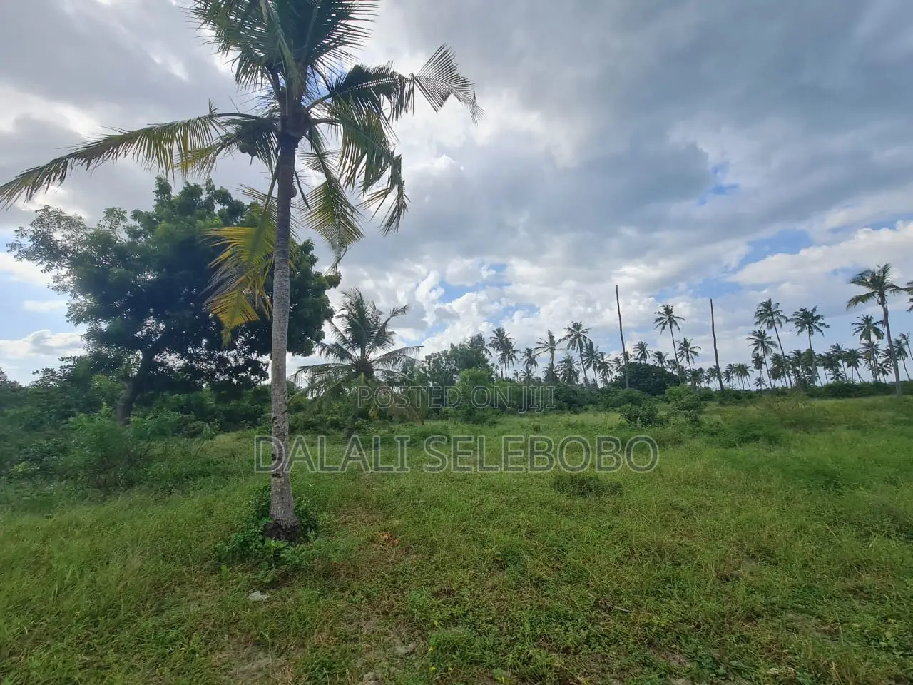 Beach Plot Hecta 9 at Bagamoyo Nunge in Bagamoyo