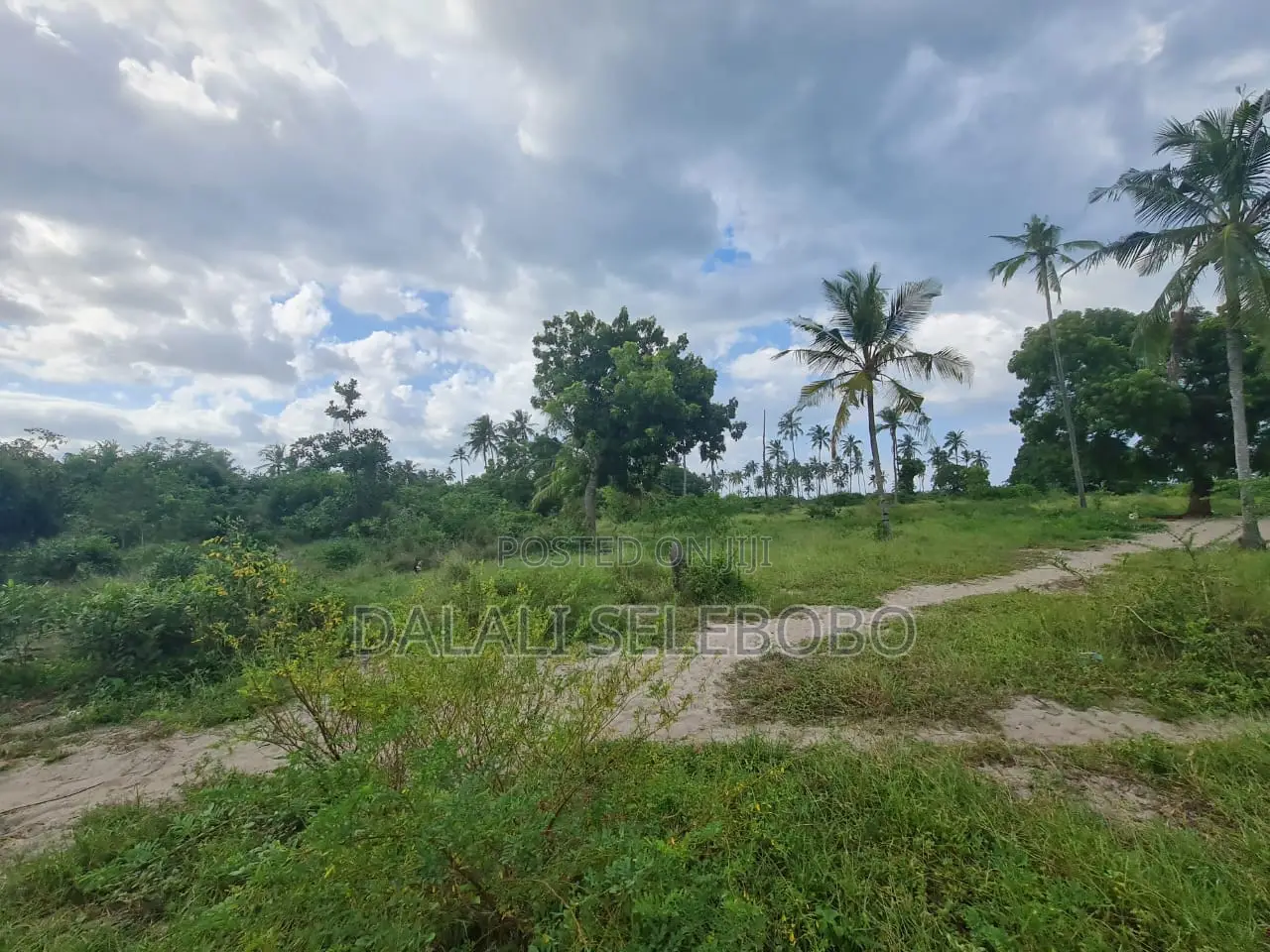 Beach Plot Hecta 9 at Bagamoyo Nunge in Bagamoyo