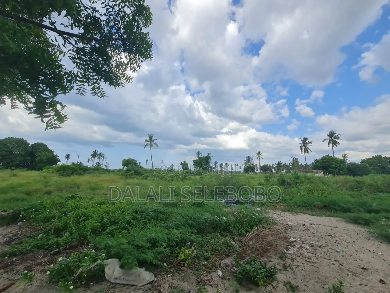 Beach Plot Hecta 9 at Bagamoyo Nunge in Bagamoyo