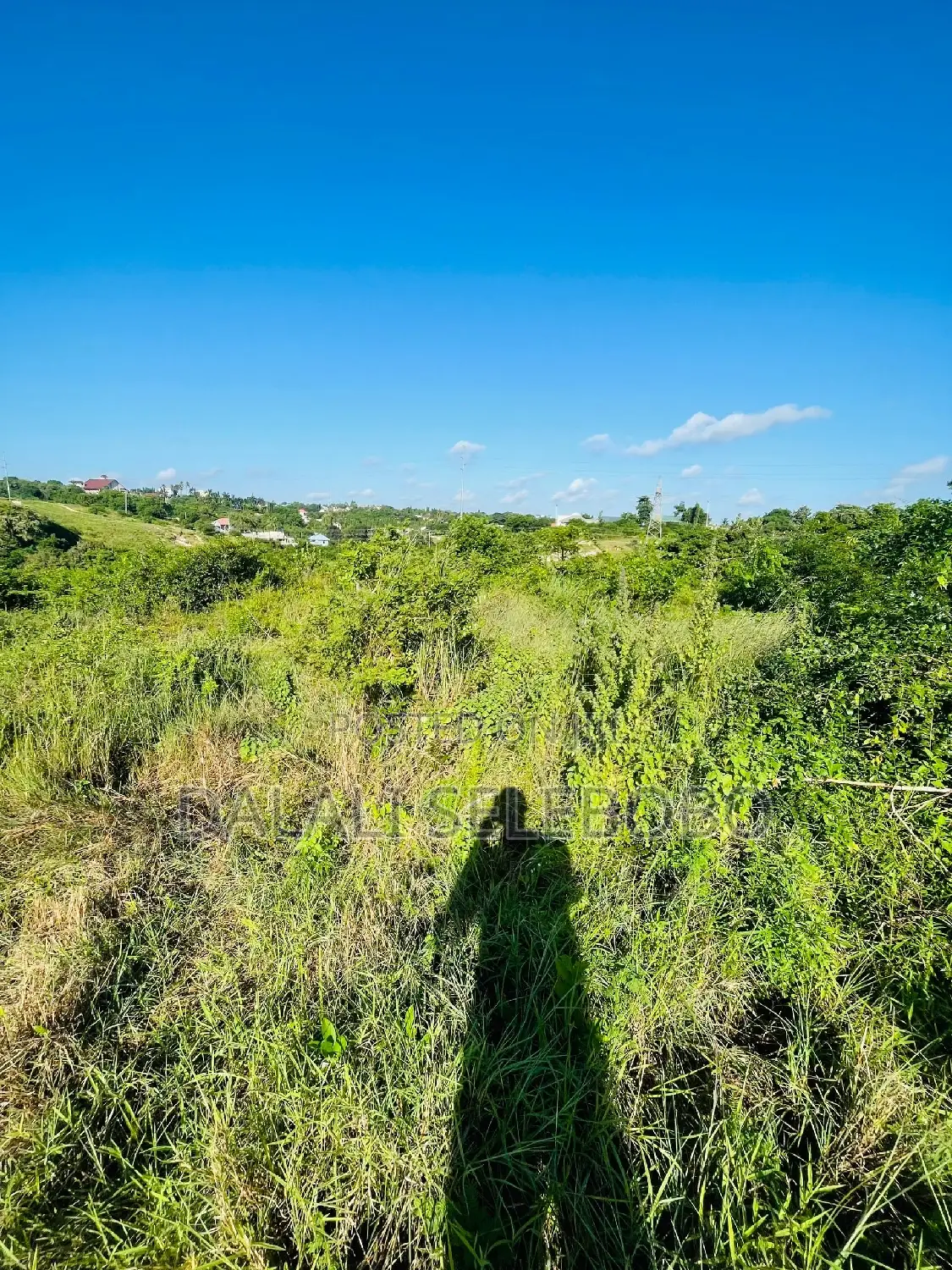 Plot Sale at Makongo Juu Pakubwa Sana in Kinondoni