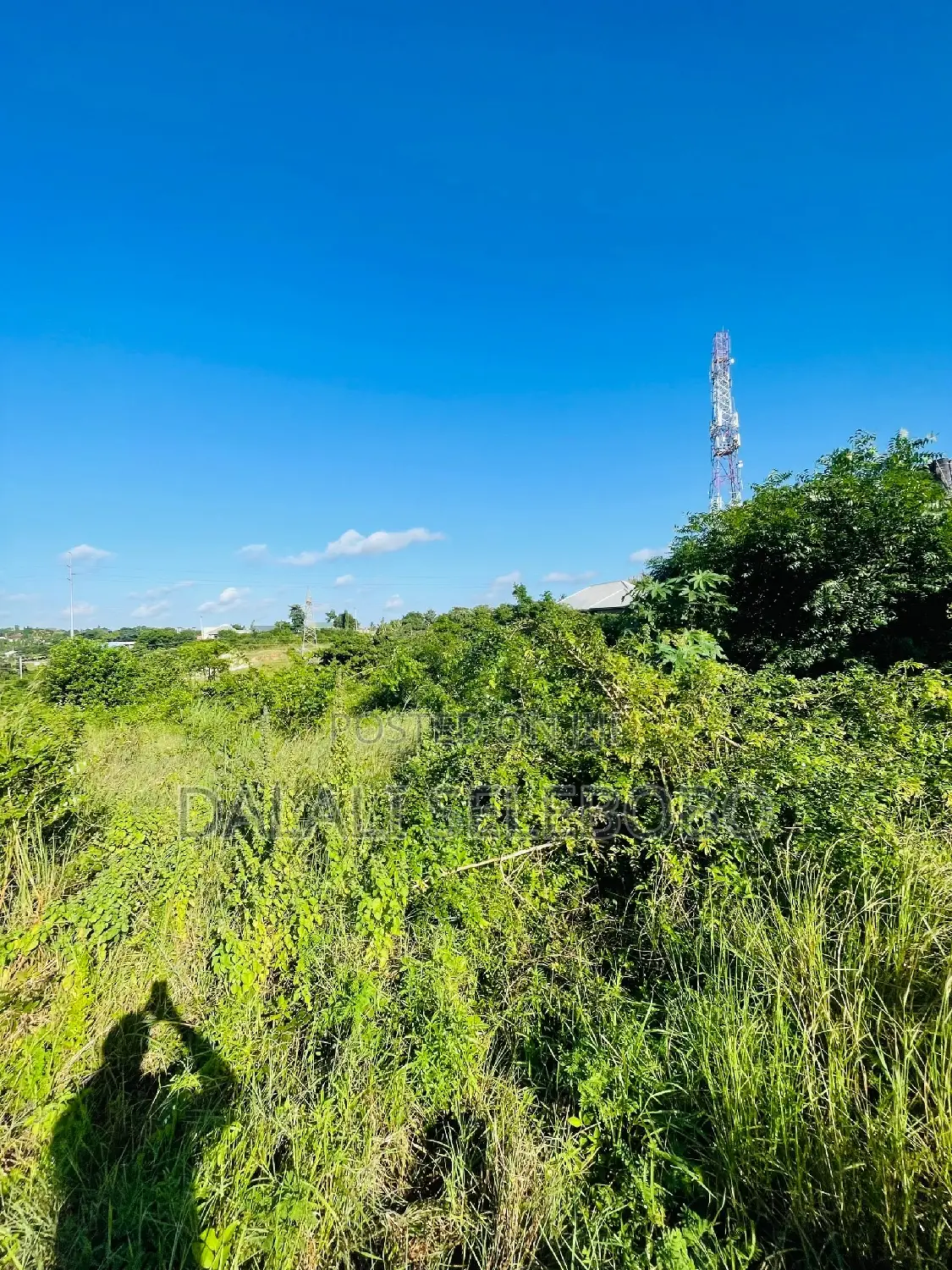 Plot Sale at Makongo Juu Pakubwa Sana in Kinondoni