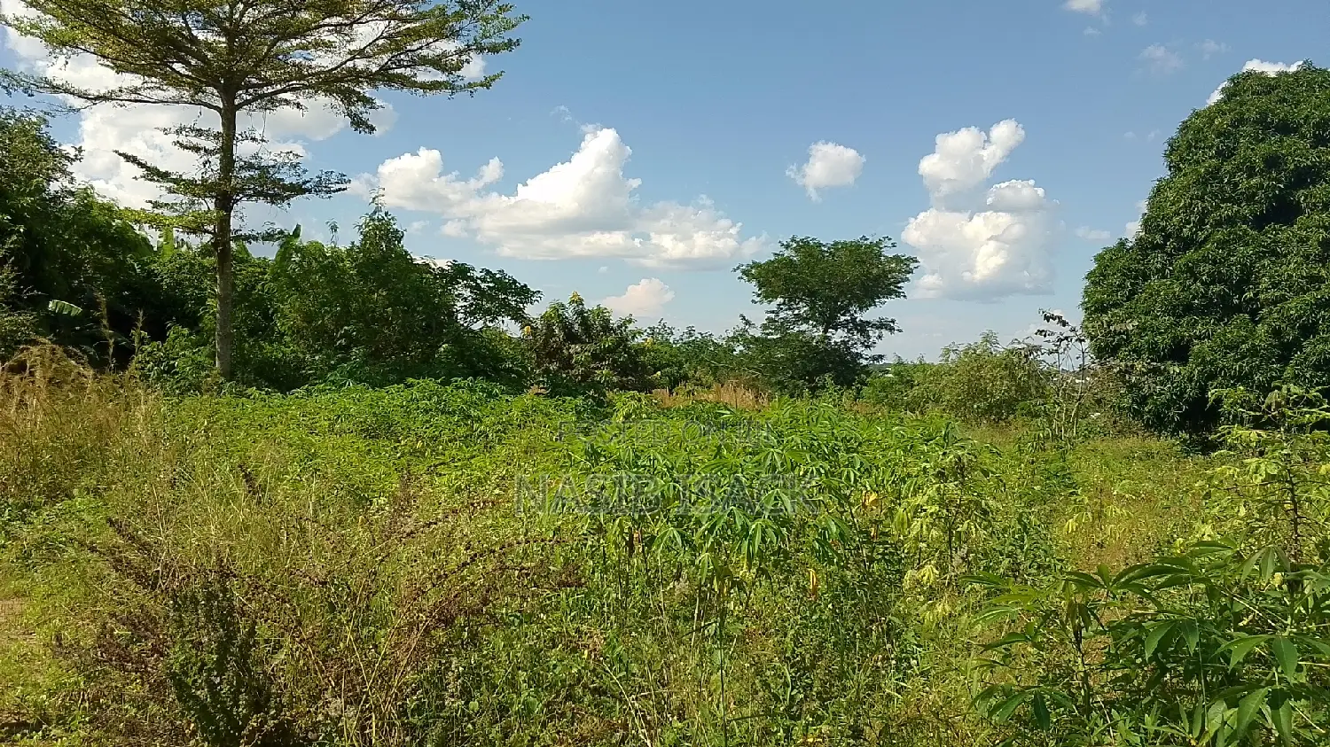 Eneo LA Heka 17 Linauzwa, Mwanza Kanyama in Nyamongoro