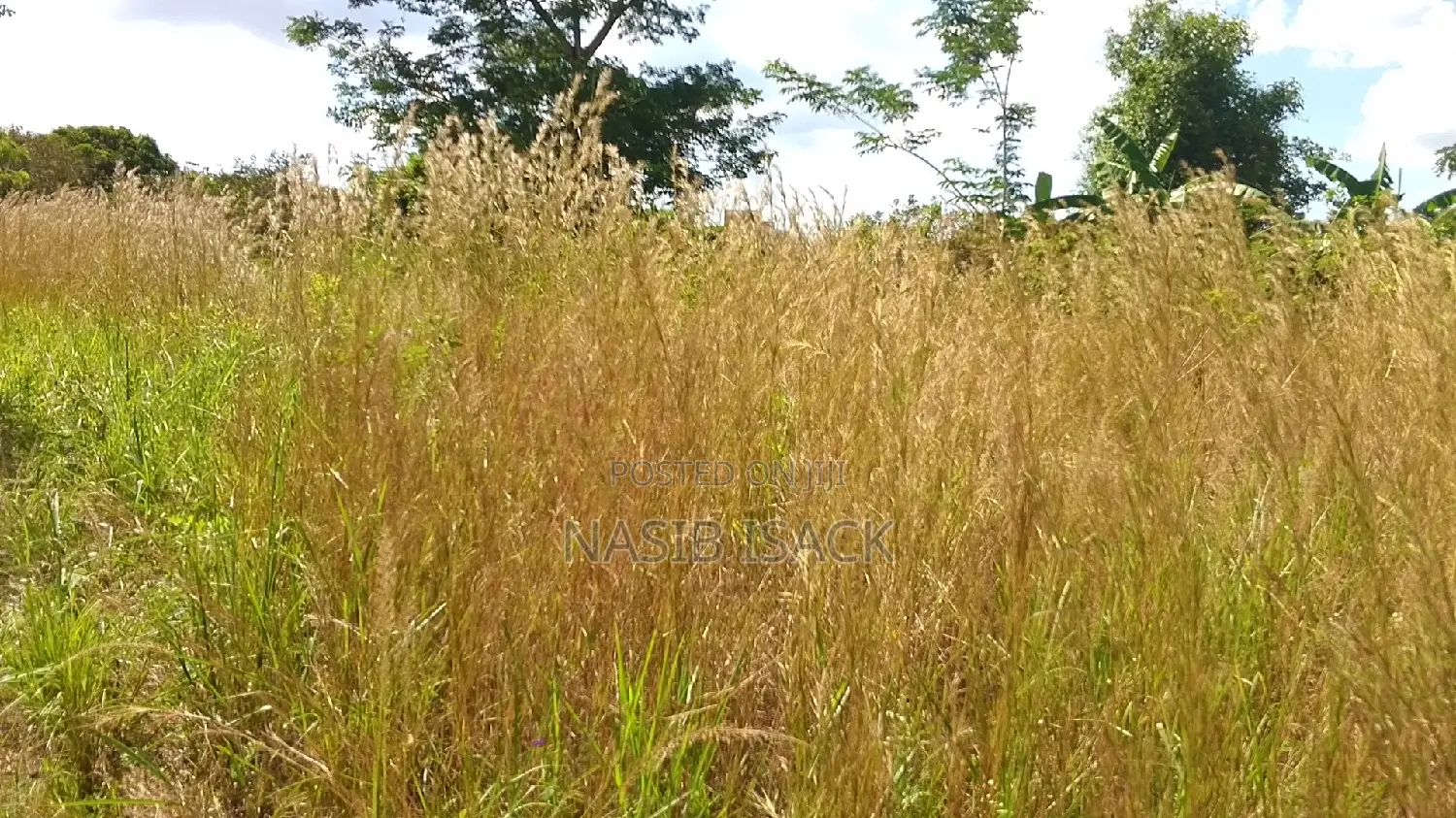 Eneo LA Heka 17 Linauzwa, Mwanza Kanyama in Nyamongoro