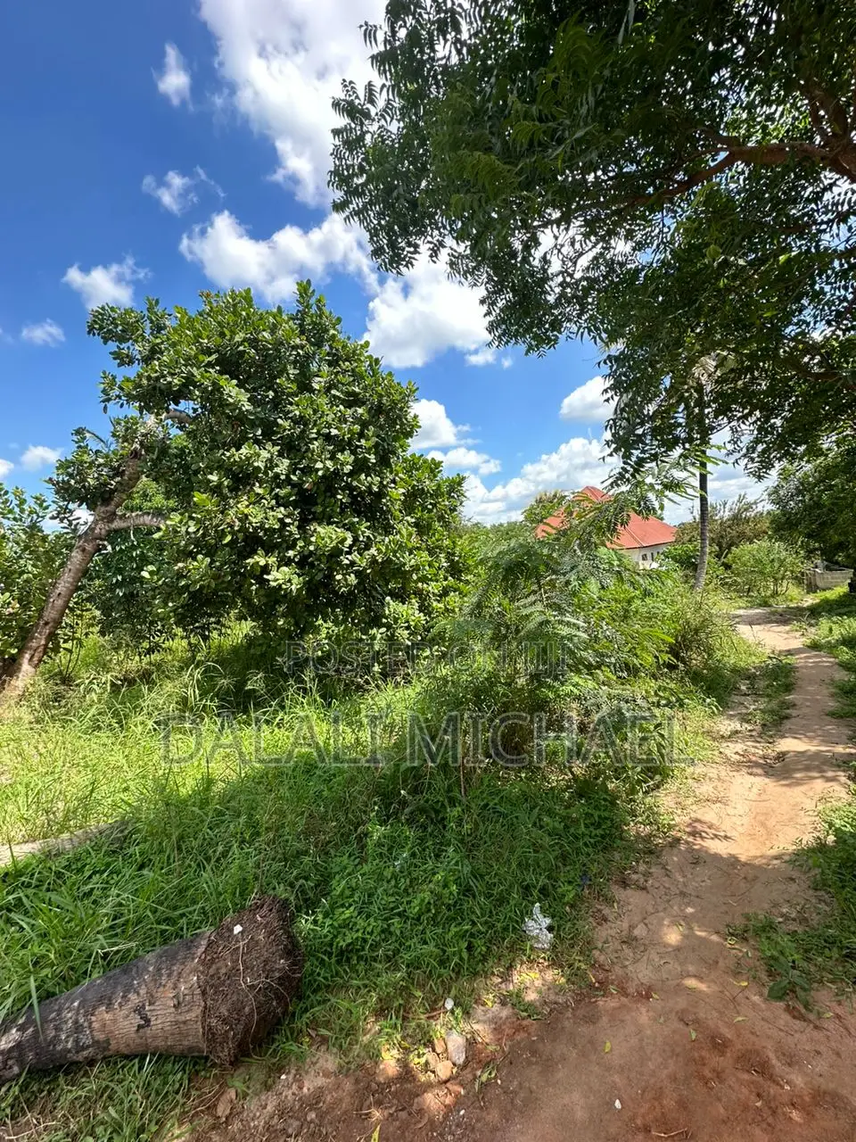 Plot for Sale Madale in Goba
