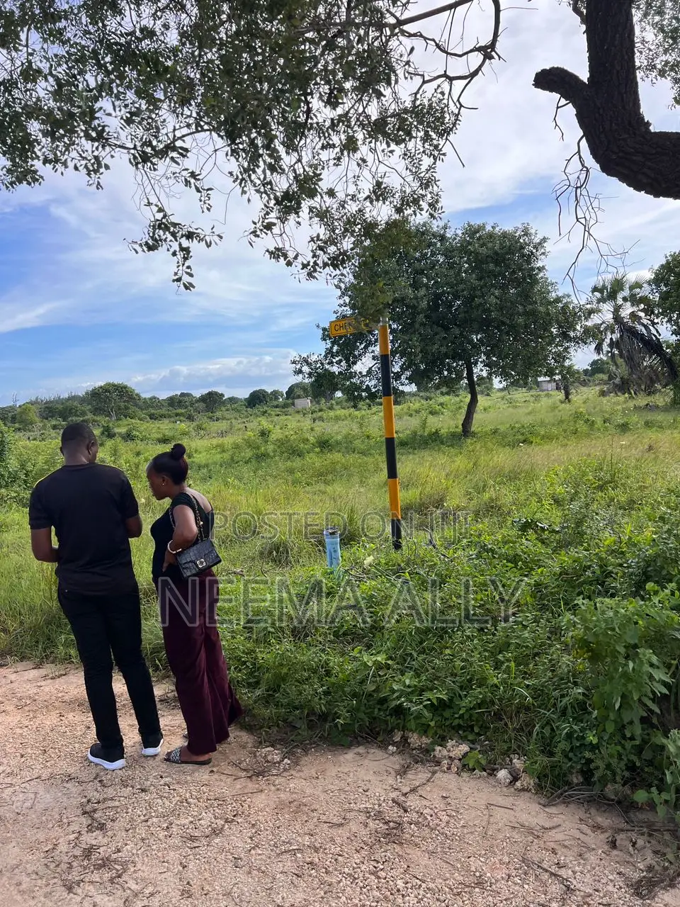 Plots for Sale Bagamoyo Zinga in Zinga