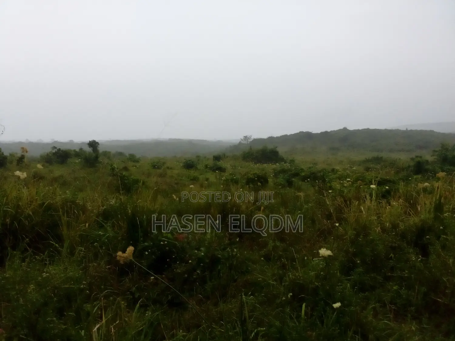 Shamba 2.6 Acre Linakodishwa Farm for Rent in Msanga