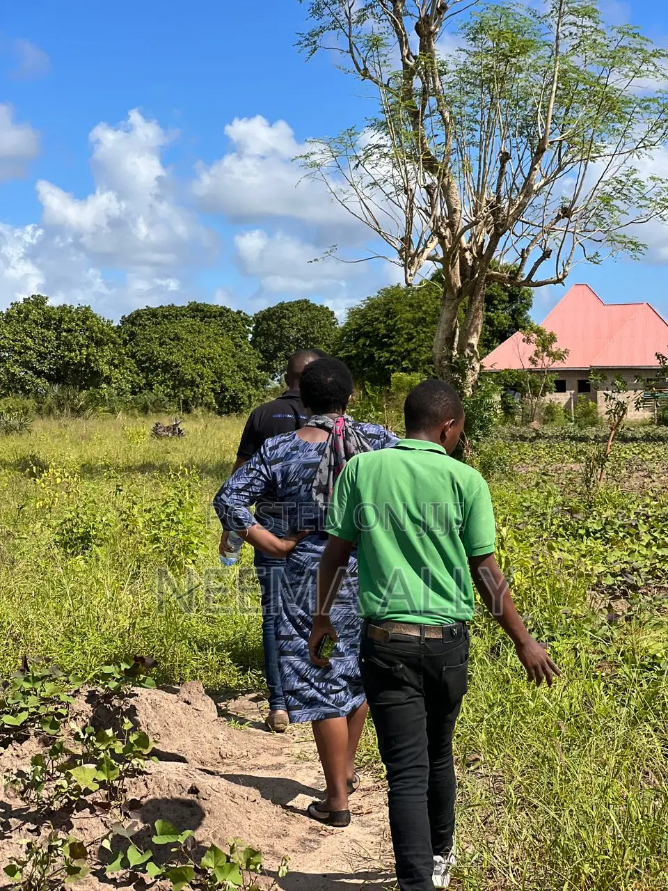 Kigamboni McHikichini in Kigamboni