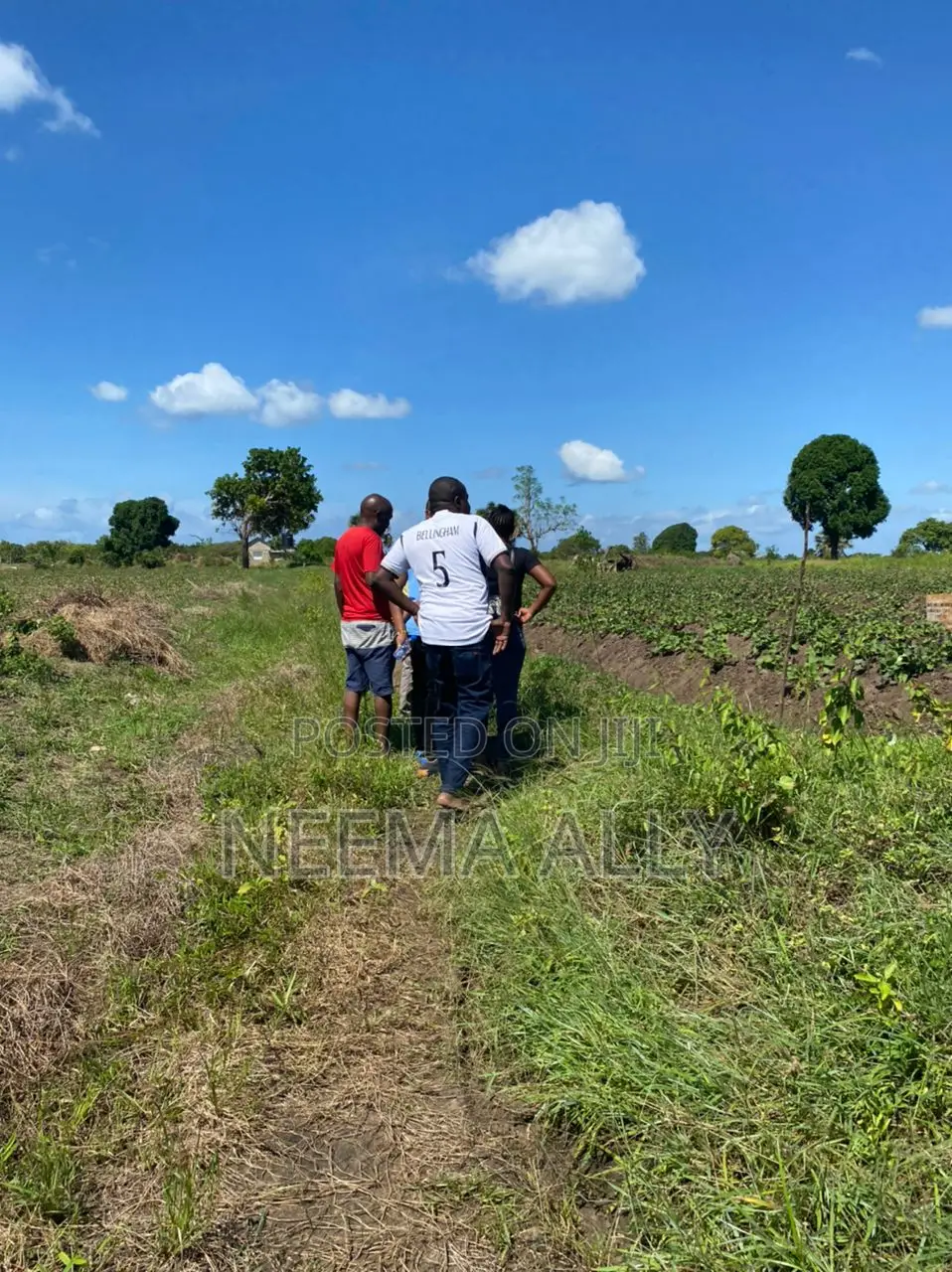 Cheka Kigamboni in Kigamboni
