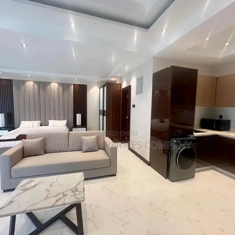 Furnished Studio Apartment in Masaki for rent in Masaki