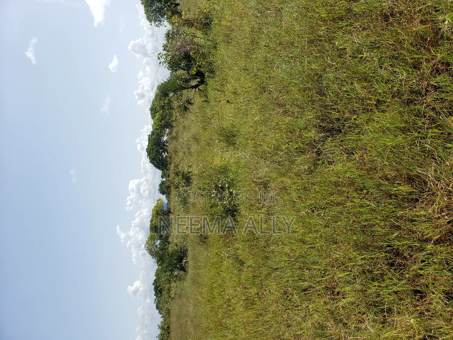 Plots for Sale Kigamboni in Kigamboni