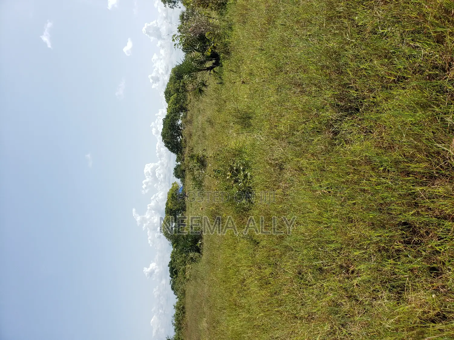 Plots for Sale Kigamboni in Kigamboni