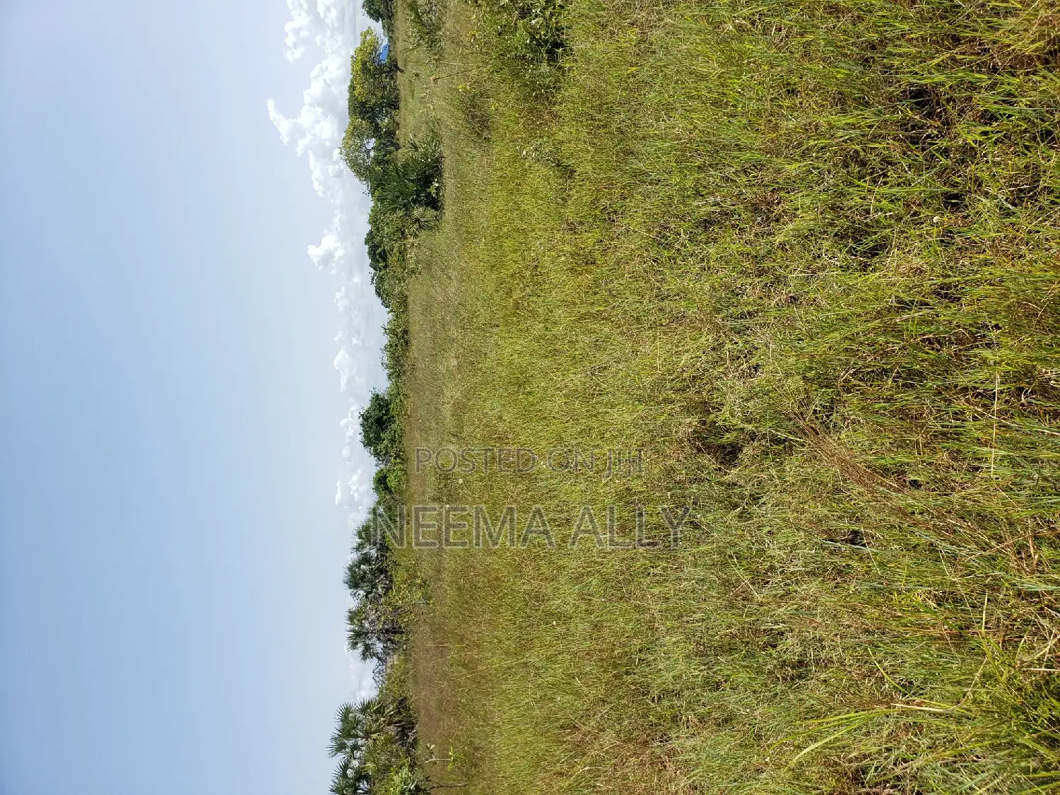 Plots for Sale Kigamboni in Kigamboni
