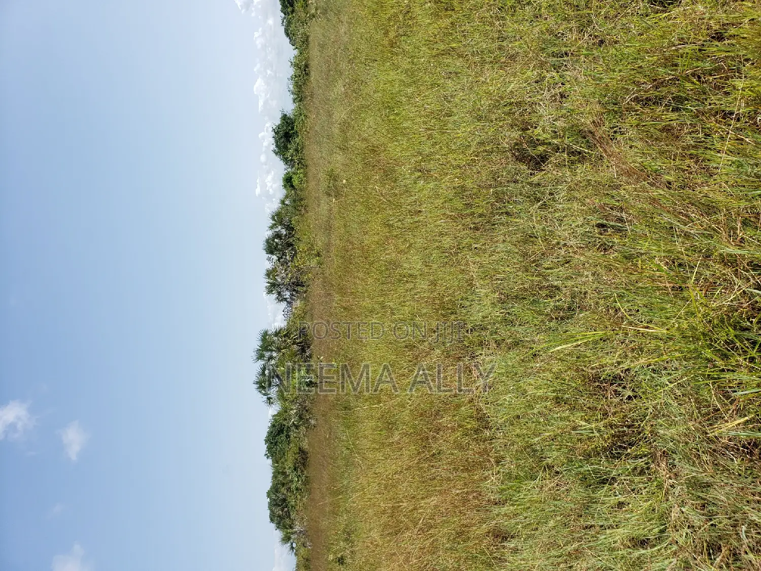 Plots for Sale Kigamboni in Kigamboni