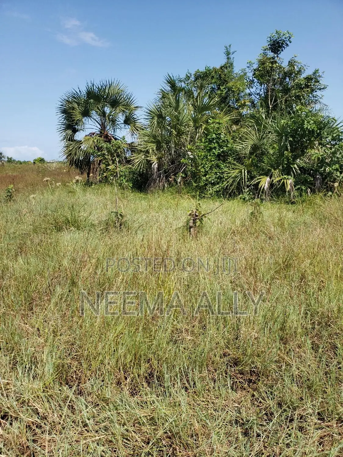 Viwanja Bei Rahisi in Kigamboni
