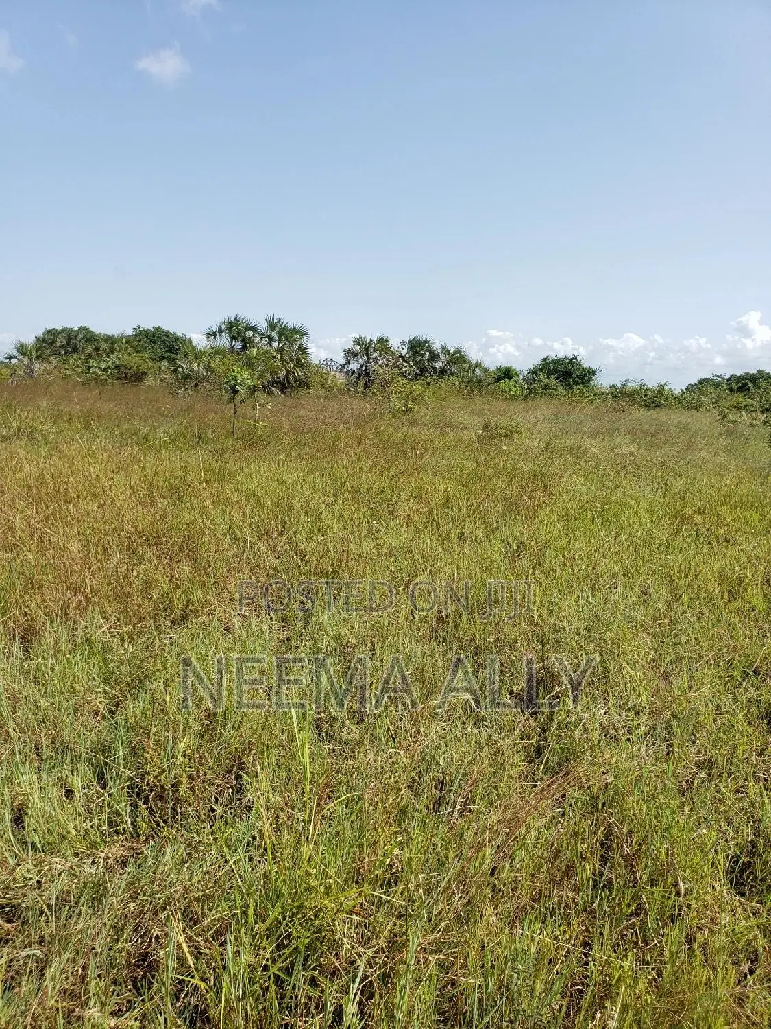 Viwanja Bei Rahisi in Kigamboni