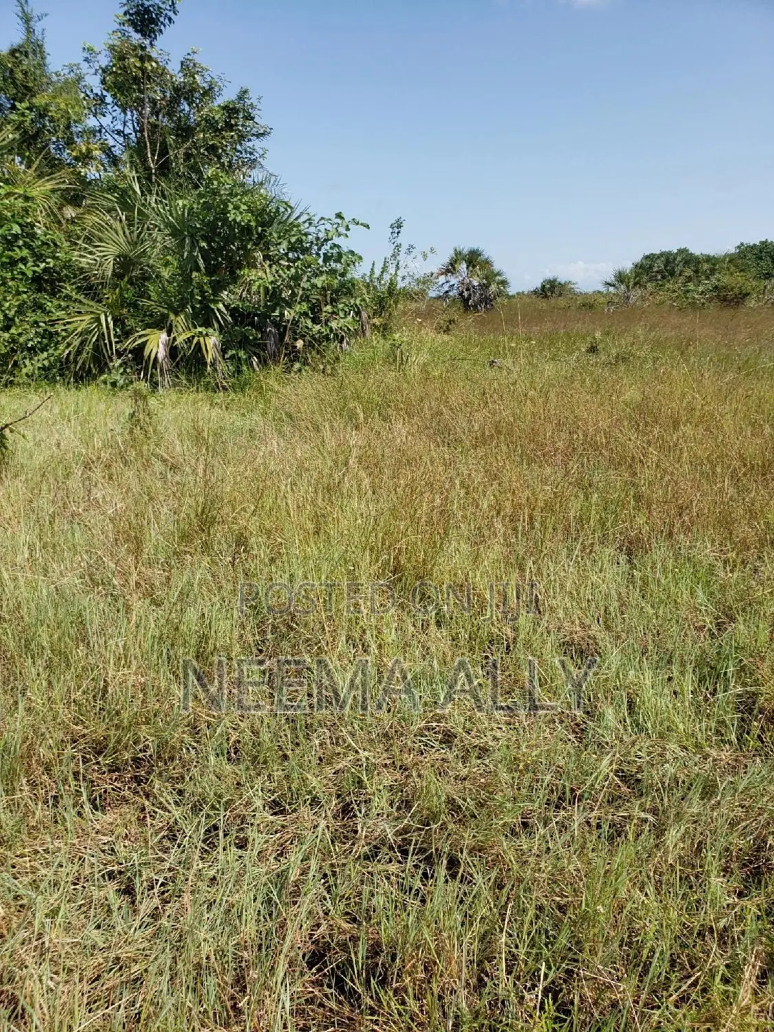 Viwanja Bei Rahisi in Kigamboni