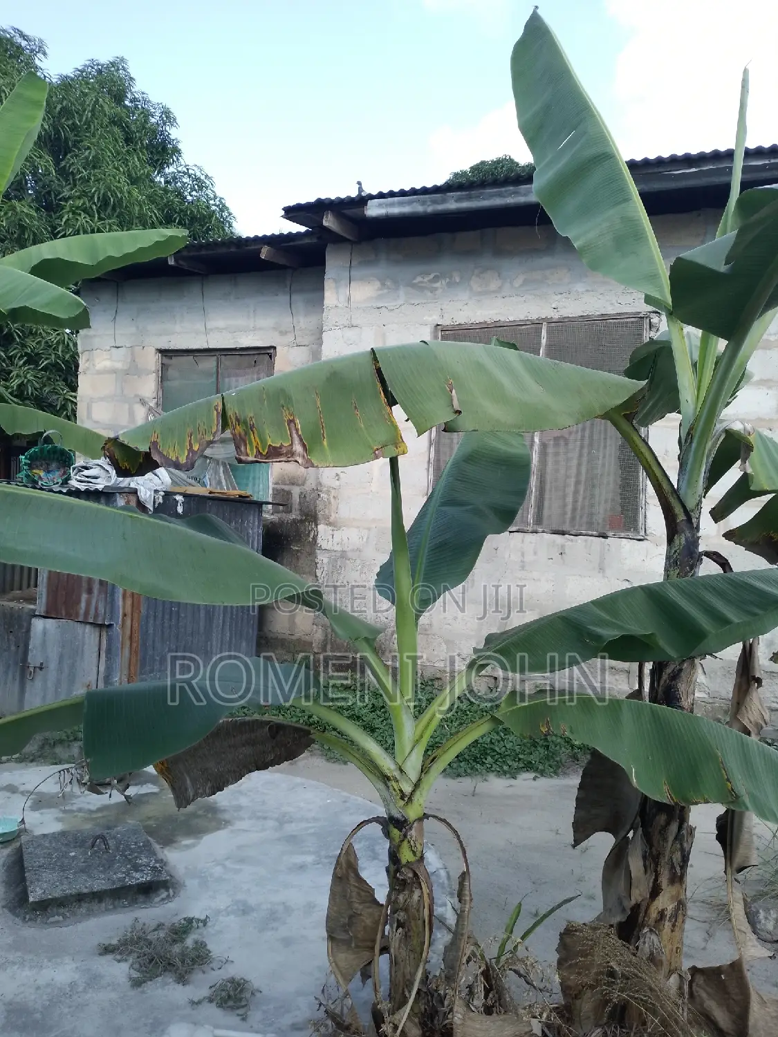 4bdrm Townhouse/Terrace in Tanzania Dsm Ukonga, Ilala for sale in Ilala