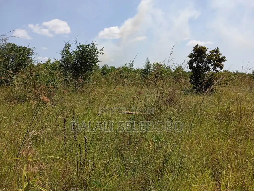 Plot Industry at Visiga Hecta 22 Pazuri Sana in Visiga