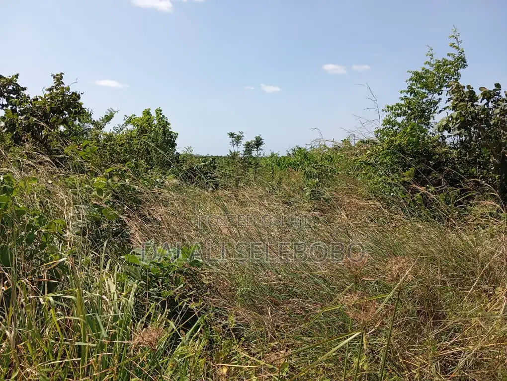 Plot Industry at Visiga Hecta 22 Pazuri Sana in Visiga