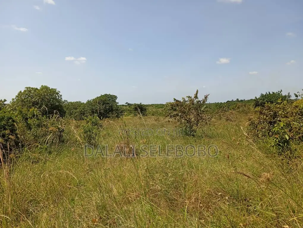 Plot Industry at Visiga Hecta 22 Pazuri Sana in Visiga