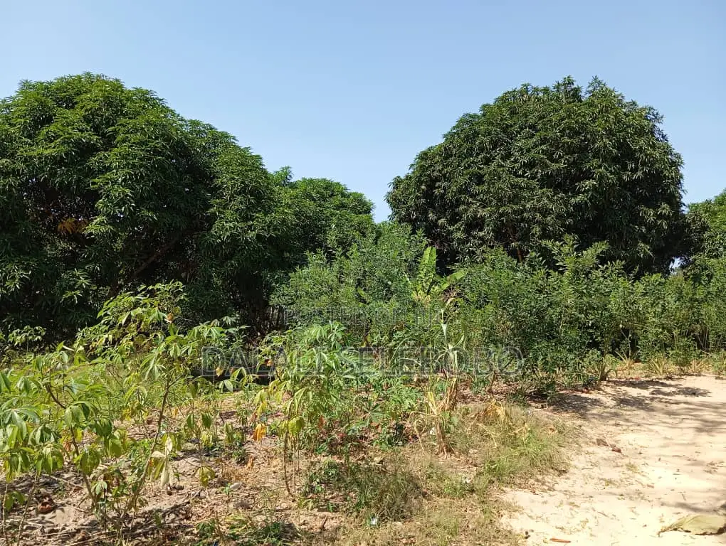 4bedrooms Na Plot at Visiga Madafu in Visiga