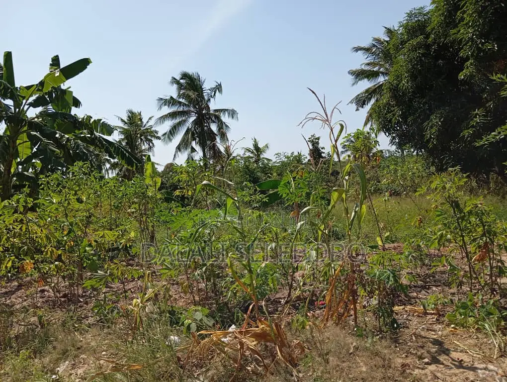 4bedrooms Na Plot at Visiga Madafu in Visiga
