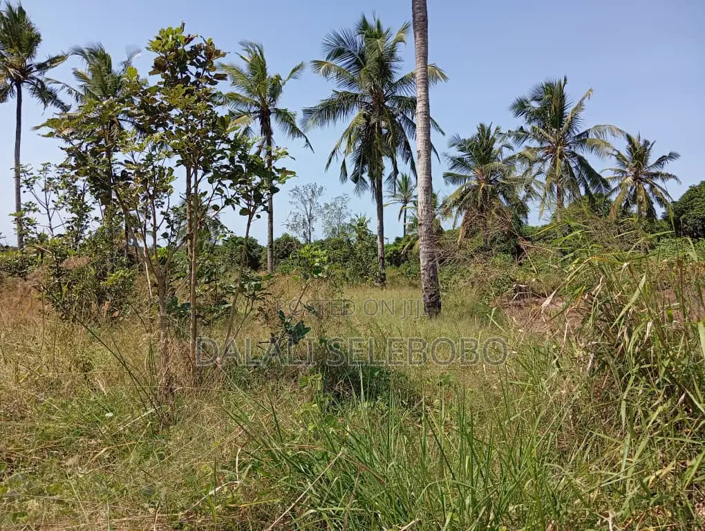 4bedrooms Na Plot at Visiga Madafu in Visiga