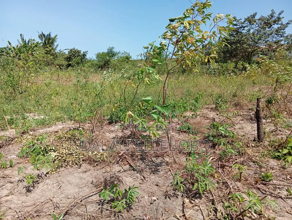 4bedrooms Na Plot at Visiga Madafu in Visiga