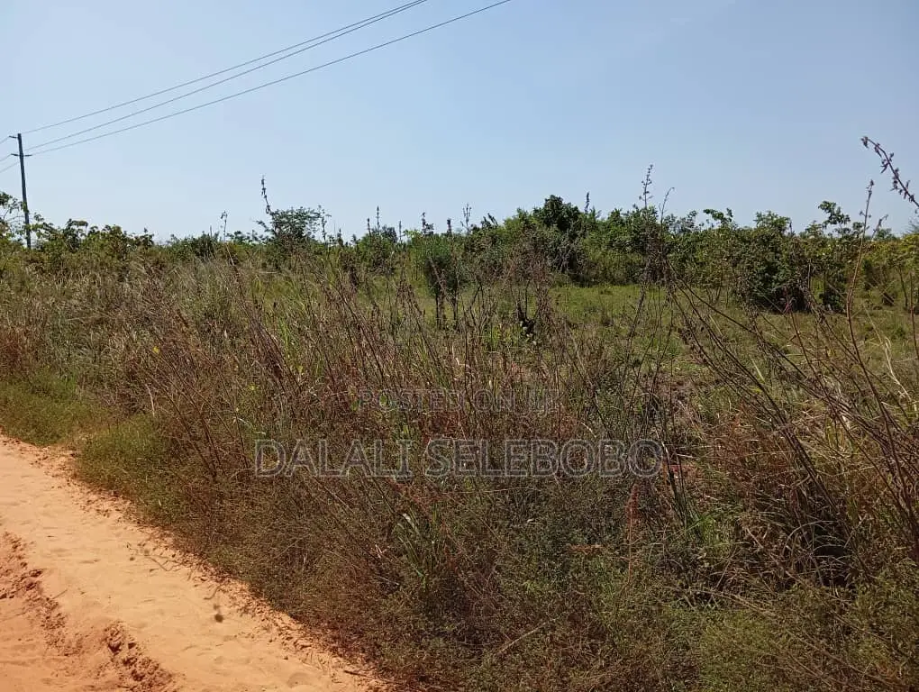 Plot Hecta 5 at Kibaha Visiga in Visiga