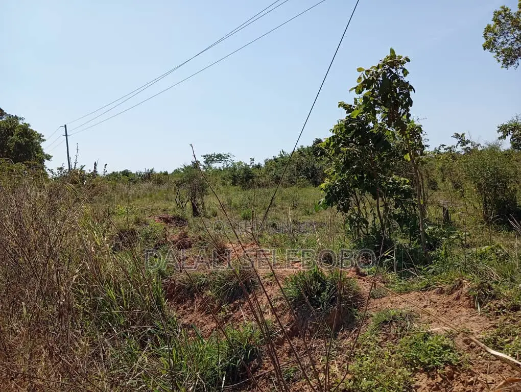 Plot Hecta 5 at Kibaha Visiga in Visiga