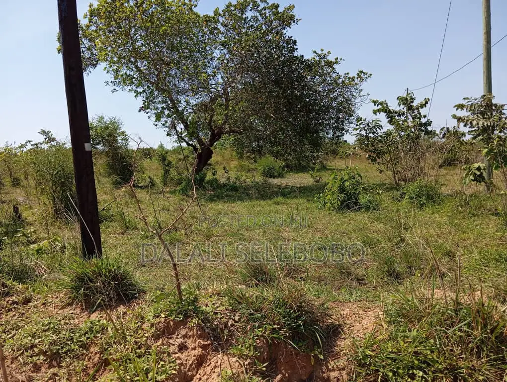 Plot Hecta 5 at Kibaha Visiga in Visiga