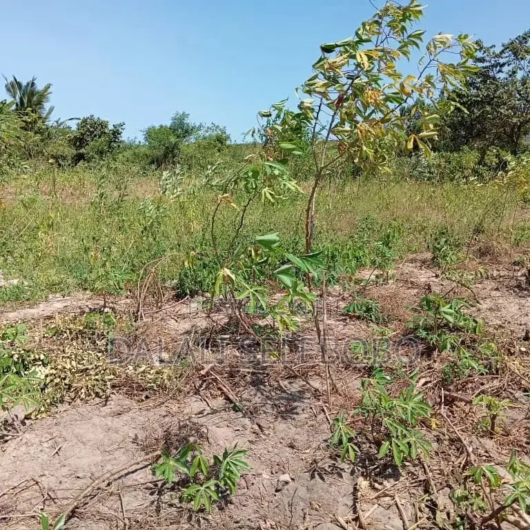 Plot Hecta 5 at Kibaha Visiga in Visiga