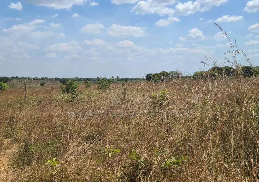 Farm for Sale With 20 Acres Located at Kibaha Meiji in Mlandizi