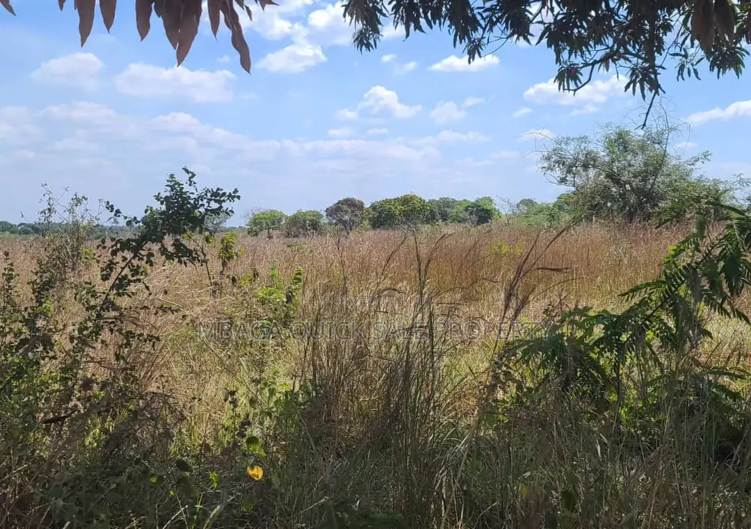 Farm for Sale With 20 Acres Located at Kibaha Meiji in Mlandizi