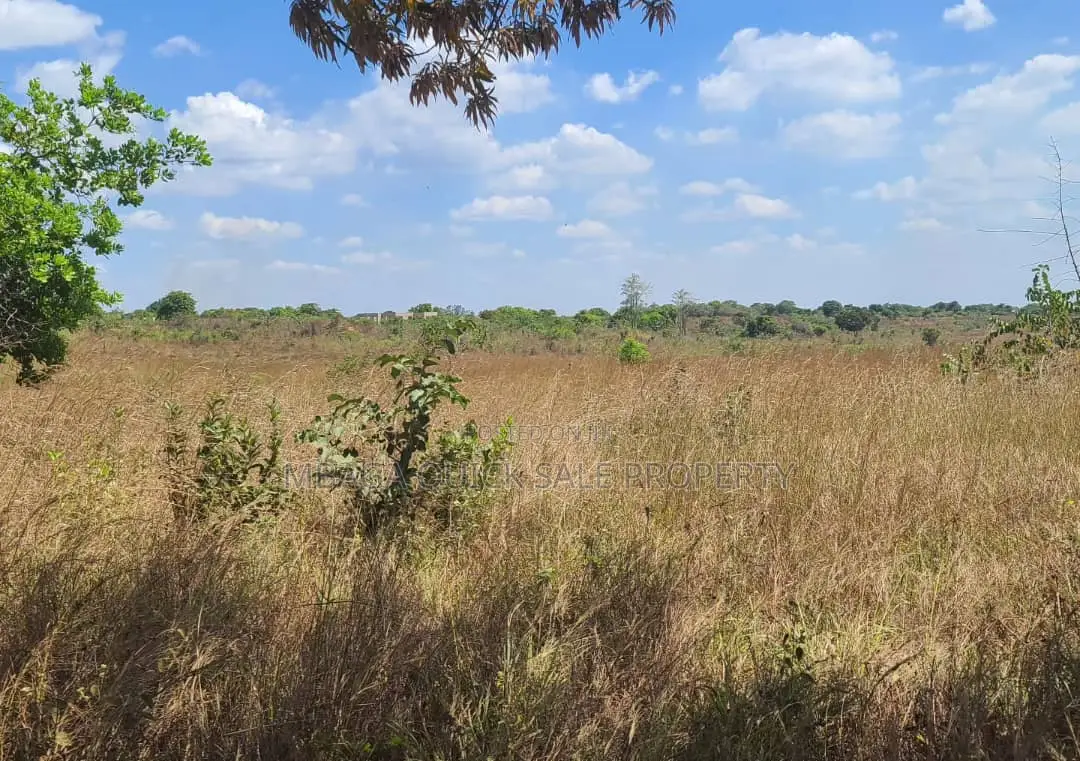 Farm for Sale With 20 Acres Located at Kibaha Meiji in Mlandizi