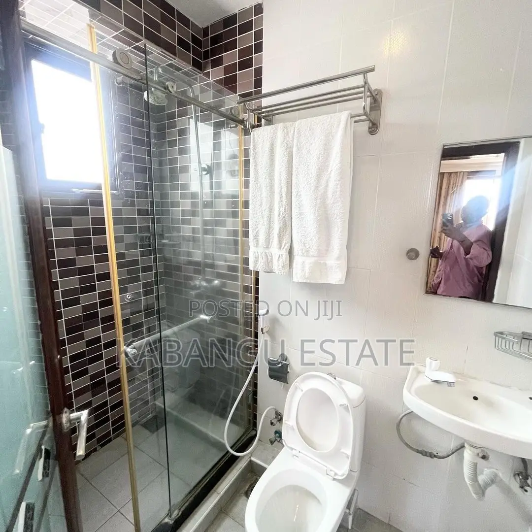 Furnished 1bdrm Apartment in Kisutu, Kinondoni for rent in Kinondoni