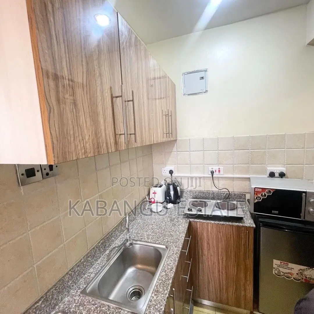 Furnished 1bdrm Apartment in Kisutu, Kinondoni for rent in Kinondoni