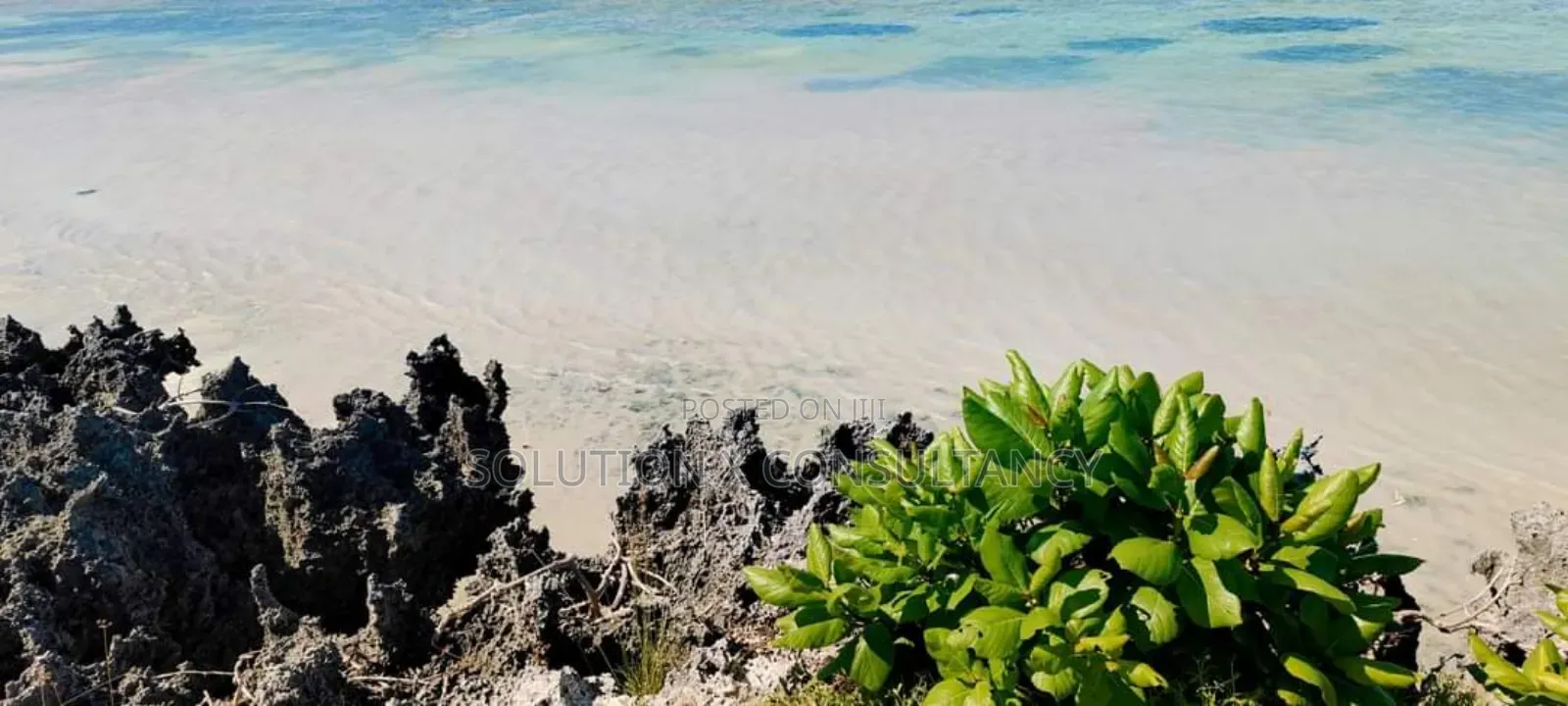 Beach Plot for Sale at Jambiani Zanzibar in Unguja North