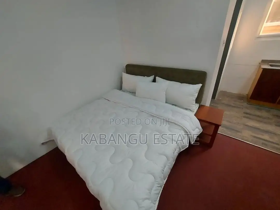Furnished Studio Apartment in Masaki, Kinondoni for rent in Kinondoni