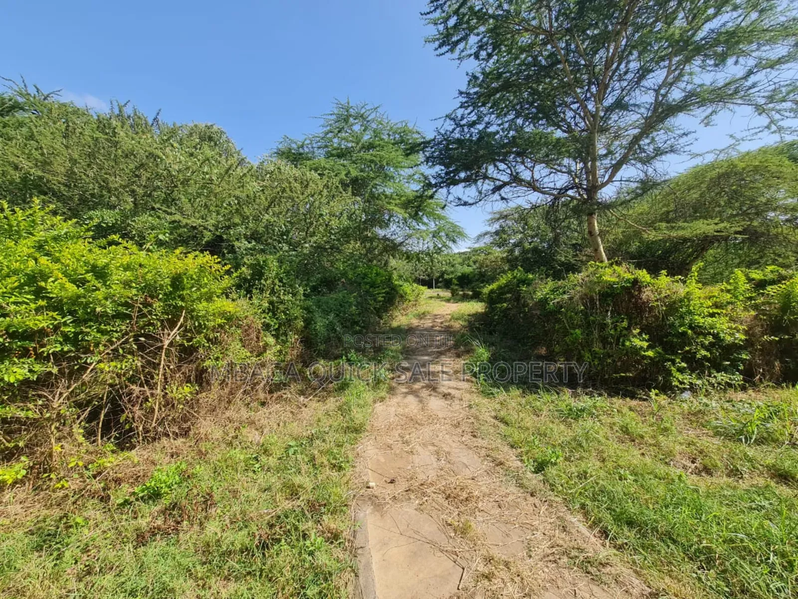 Plot for Sale With 20 Acres at Arusha in Arusha Chini
