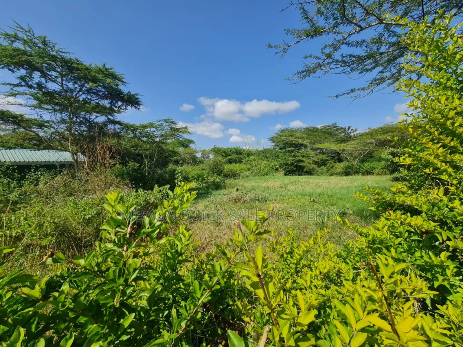 Plot for Sale With 20 Acres at Arusha in Arusha Chini
