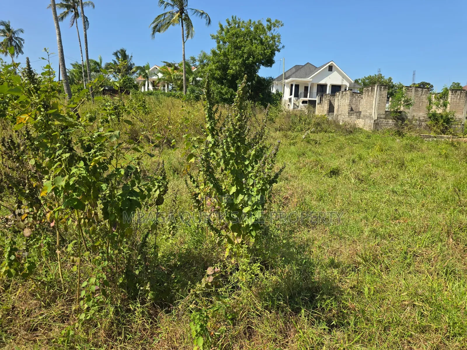 Plot for Sale at Goba Area SQM 600. in Goba