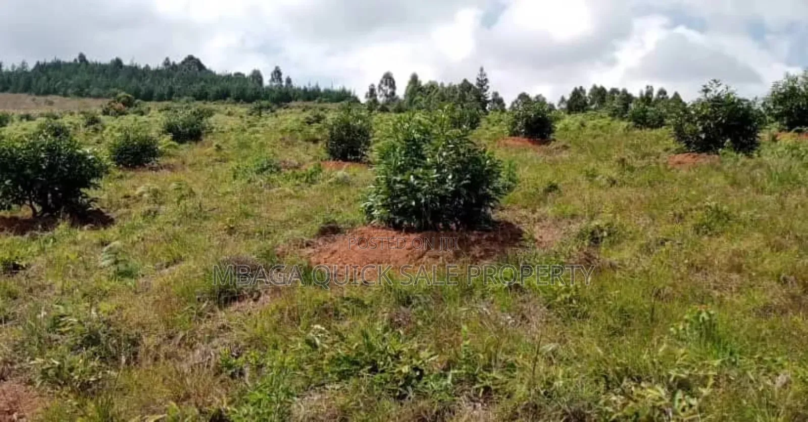 Shamba Linauzwa Kifanya Njombe in Kifanya