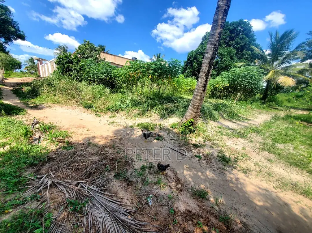 Uzunguni Plot in Bunju