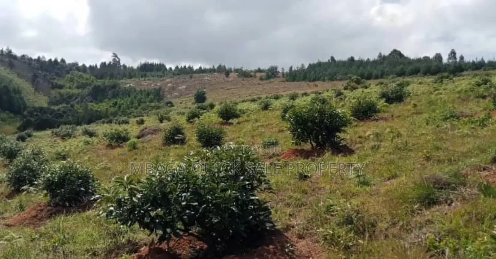 Farm for Sale at Njombe in Njombe Rural