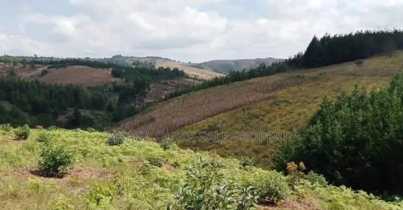 Farm for Sale at Njombe in Njombe Rural